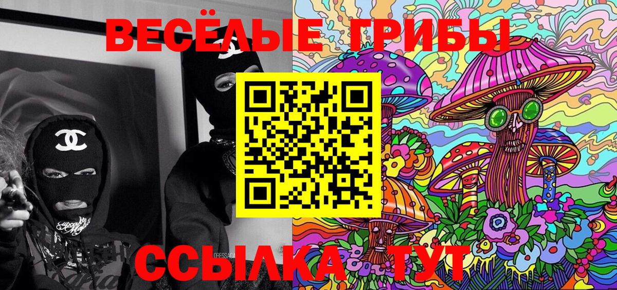 Набережные Челны  Псилоцибиновые грибы GOLDEN TEACHER  Вход с VPN  Псилоцибиновые грибы Psilocybine cubensis 